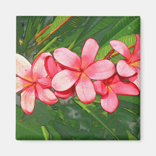 Aimant Plumeria