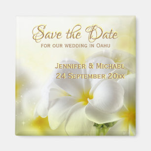 Aimant Plumeria blanche hawaïenne