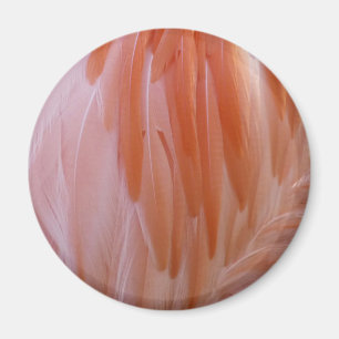 Aimant Plumes de Flamant rose dans les tons roses