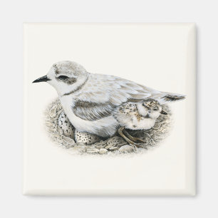 Aimant Pluvier de Milou avec l'aimant de poussin et