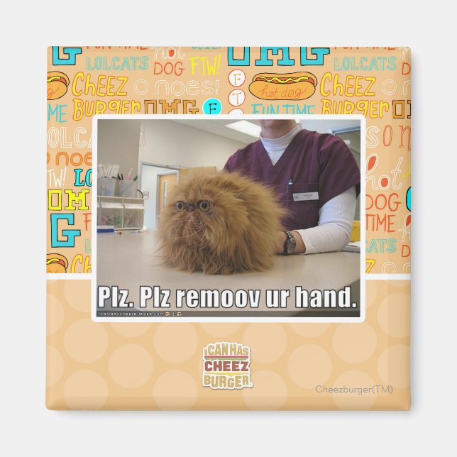 Aimant Plz remoov votre main (Devant)