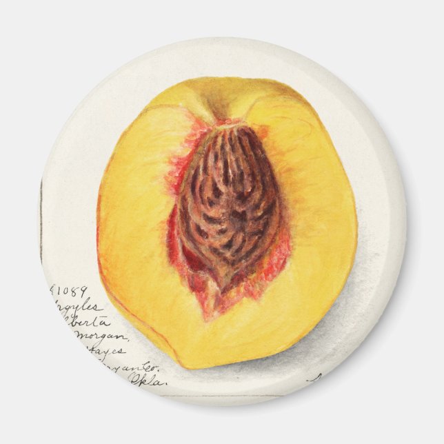 Aimant Poche (Devant)