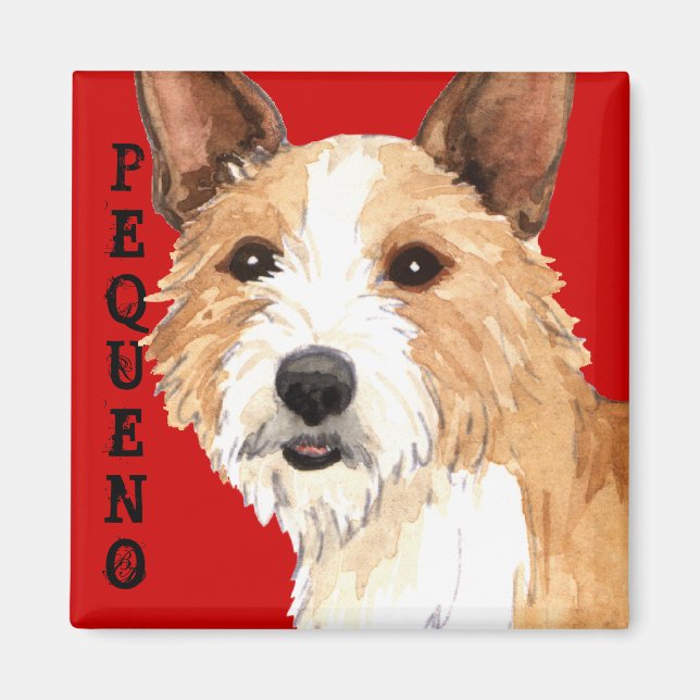 Aimant Podengo Pequeno (Devant)