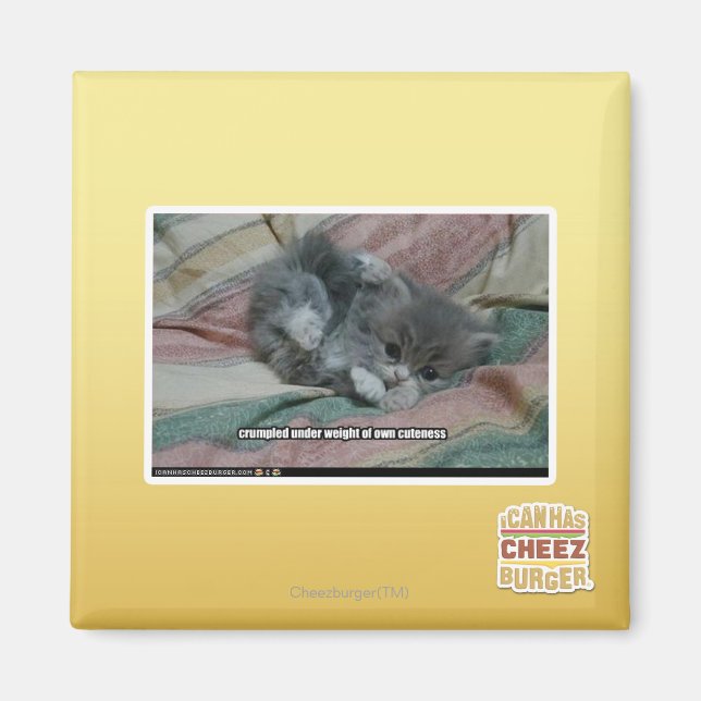 Aimant Poids propre (Devant)