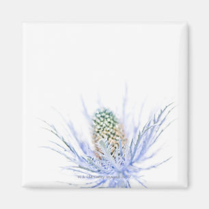 Aimant Poignée en gros plan