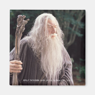 Aimant Poignée GANDALF™