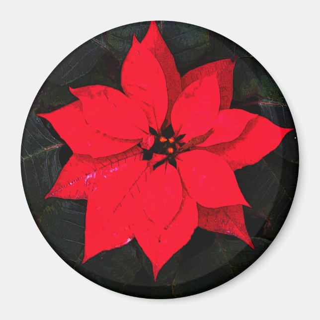 Aimant Poinsettia 6078 (Devant)