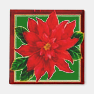 Aimant Poinsettia encadré
