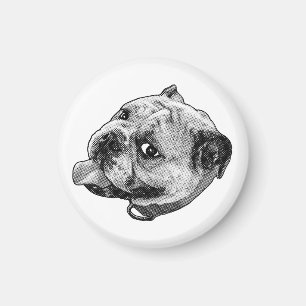 Aimant Point Bouledogue