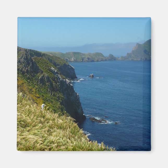 Aimant Point d'inspiration II d'Anacapa aux îles Anglo-No (Devant)