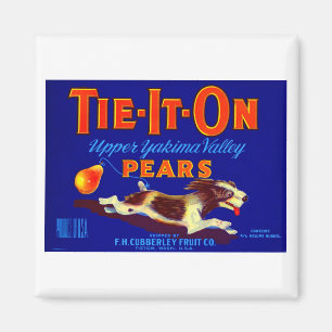 Aimant Poires à cravate