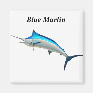 Aimant Poisson Blue Marlin