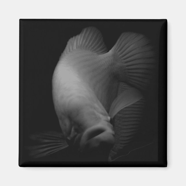 Aimant Poisson dans le portrait de réservoir (Devant)