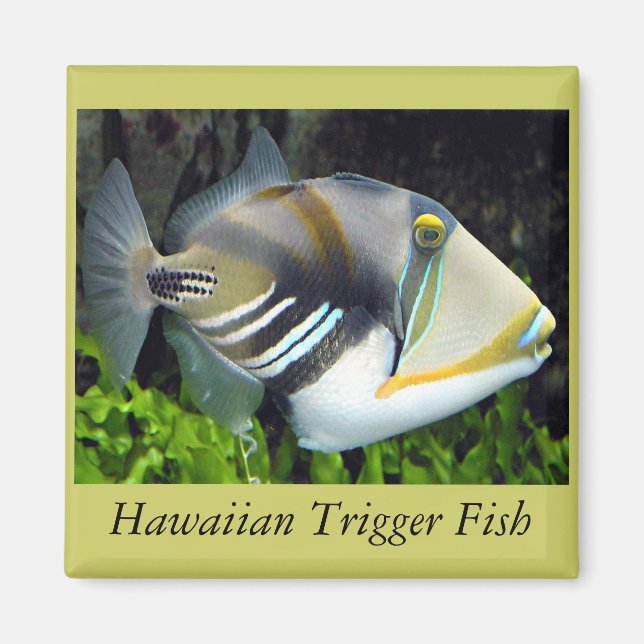 Aimant Poisson de l'État d'Hawaii (Devant)