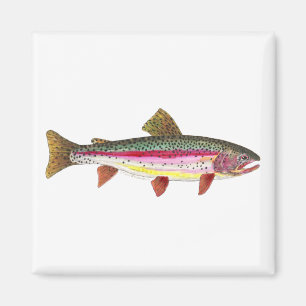 Aimant Poisson de truite arc-en-ciel