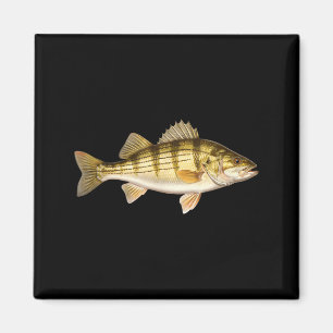 Aimant Poisson Ed B Er Art De Pêche Pour Pêcheurs