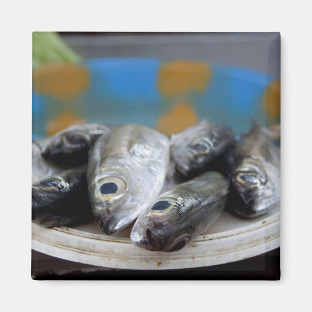 Aimant Poisson frais sur le marché aux poissons Mercado d (Devant)