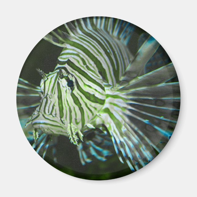 Aimant Poisson grincheux (Devant)