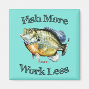 Aimant Poisson Plus Poisson-Poisson Moins