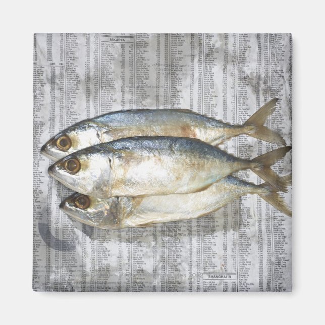 Aimant Poisson sur le journal financier, vue élevée (Devant)