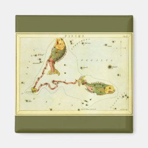Aimant Poissons, miroir de la constellation Vintage de l'