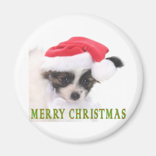 AIMANT POIVRE DE NOËL