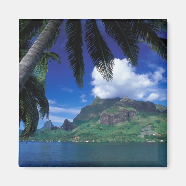 Aimant Polynésie française, Moorea. Baie de Cooks. Vert (Devant)