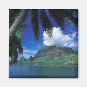 Aimant Polynésie française, Moorea. Cooks Bay.Vert