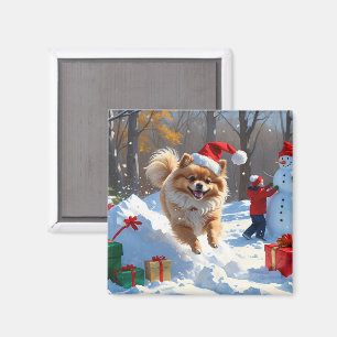 Aimant Pomeranian courant dans la neige avec un chapeau d
