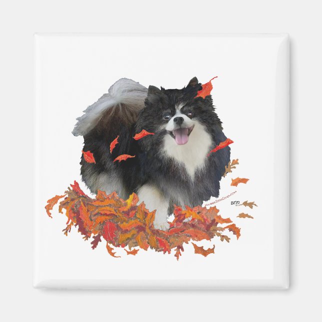Aimant Pomeranian en Automne (Devant)