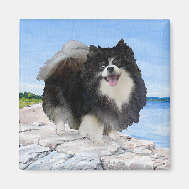 Aimant Pomeranian noir au bord de la mer (Devant)