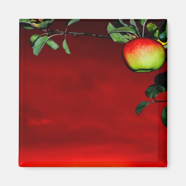 Aimant Pomme de paradis (Devant)
