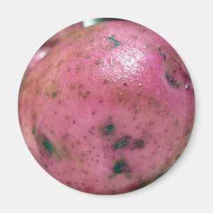 Aimant Pomme de terre rouge Norland
