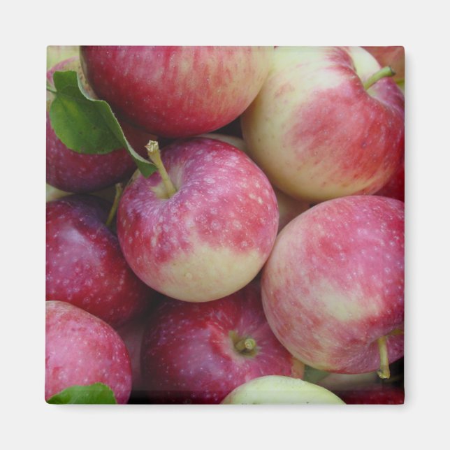 Aimant Pommes à neiges (Devant)