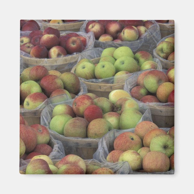 Aimant pommes Macintosh de l'État de New York dans des pa (Devant)