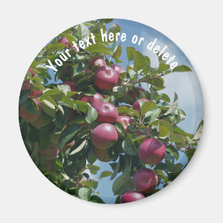 Aimant Pommes Rouges Sur La Nature De L'Arbre Personnalis