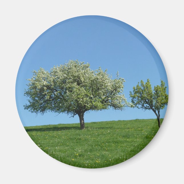 Aimant pommier (Devant)
