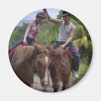 Aimant poney