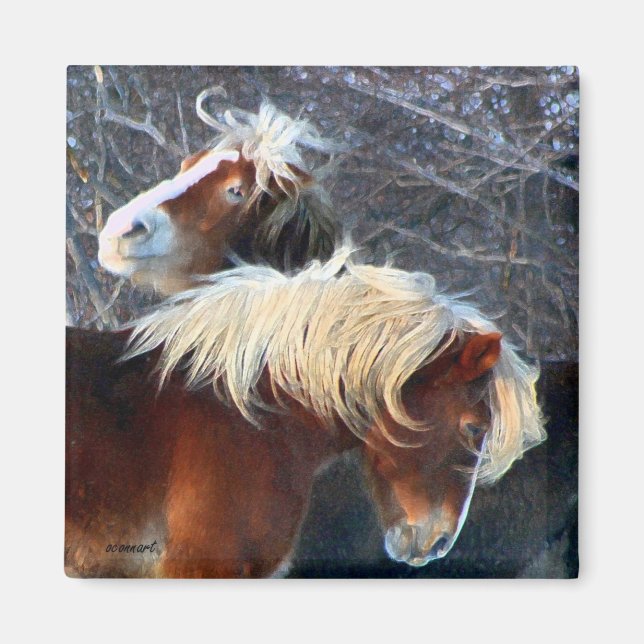 Aimant poney (Devant)