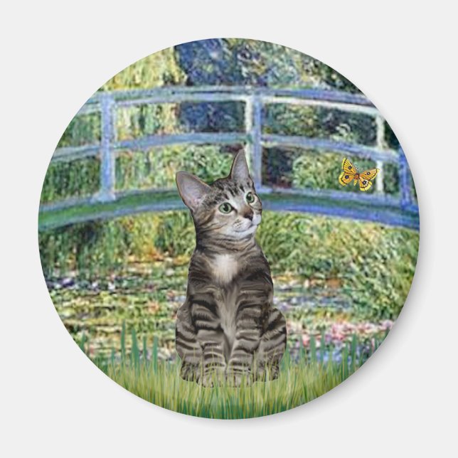 Aimant Pont - Chat tigré tabby 31 (Devant)