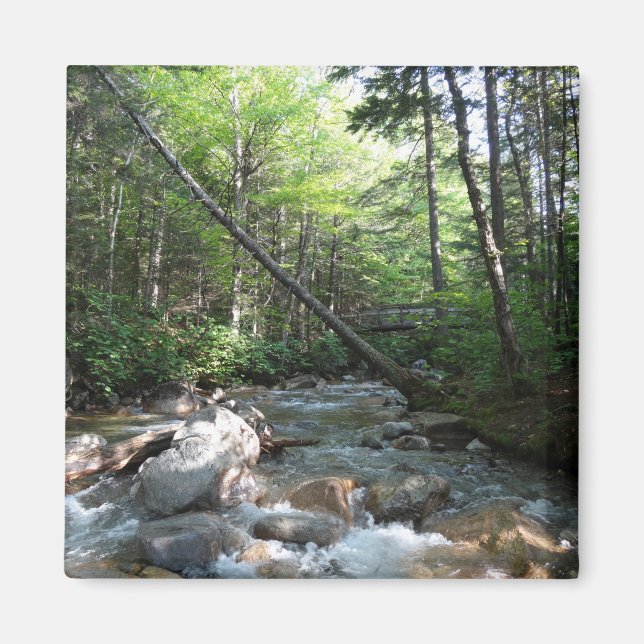 Aimant Pont de la rivière Pemigewasset dans le New Hampsh (Devant)