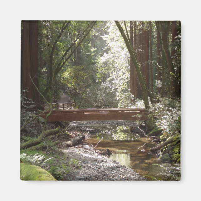 Aimant Pont de Muir Woods II (Devant)