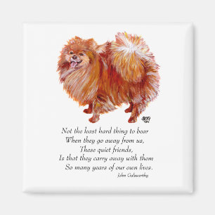 Aimant Pont de Poméranian Rainbow