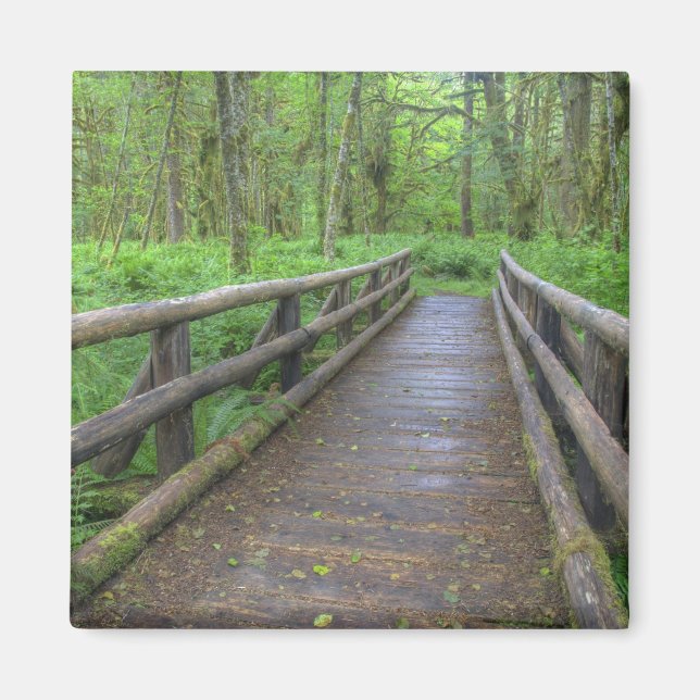 Aimant pont en bois du sentier Maple Glade, fougères et (Devant)