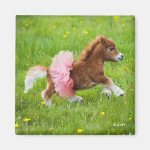 Aimant Pony in Tutu