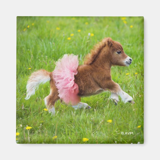 Aimant Pony in Tutu (Devant)