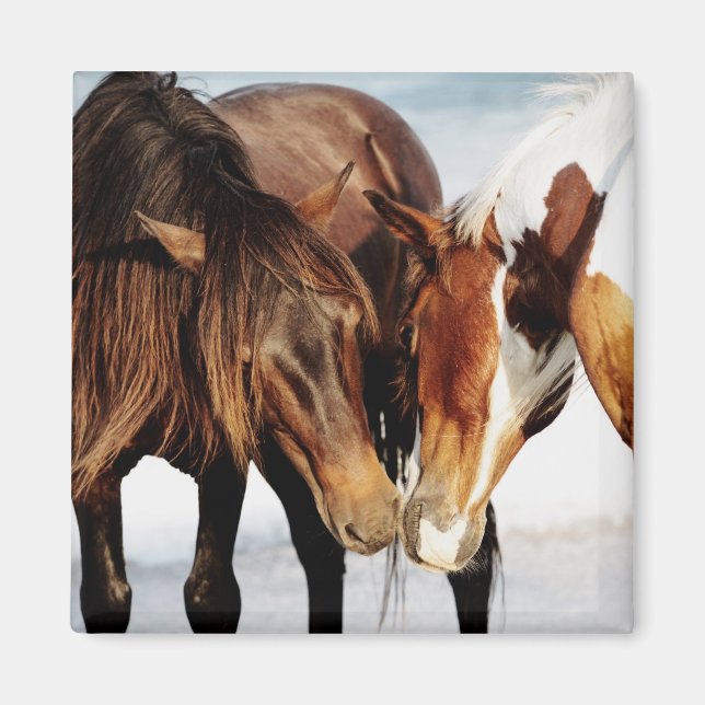 Aimant Pony Love (Devant)