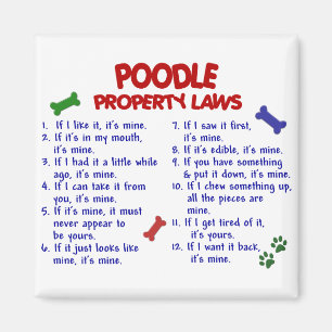 Aimant POODLE, propriété Lois 2