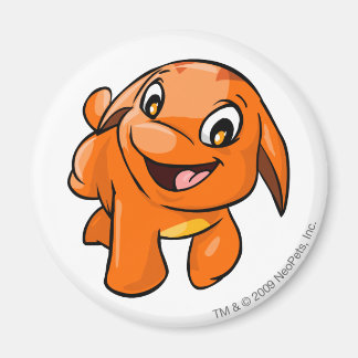 Aimant Poogle Orange