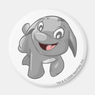 Aimant Poogle Silver